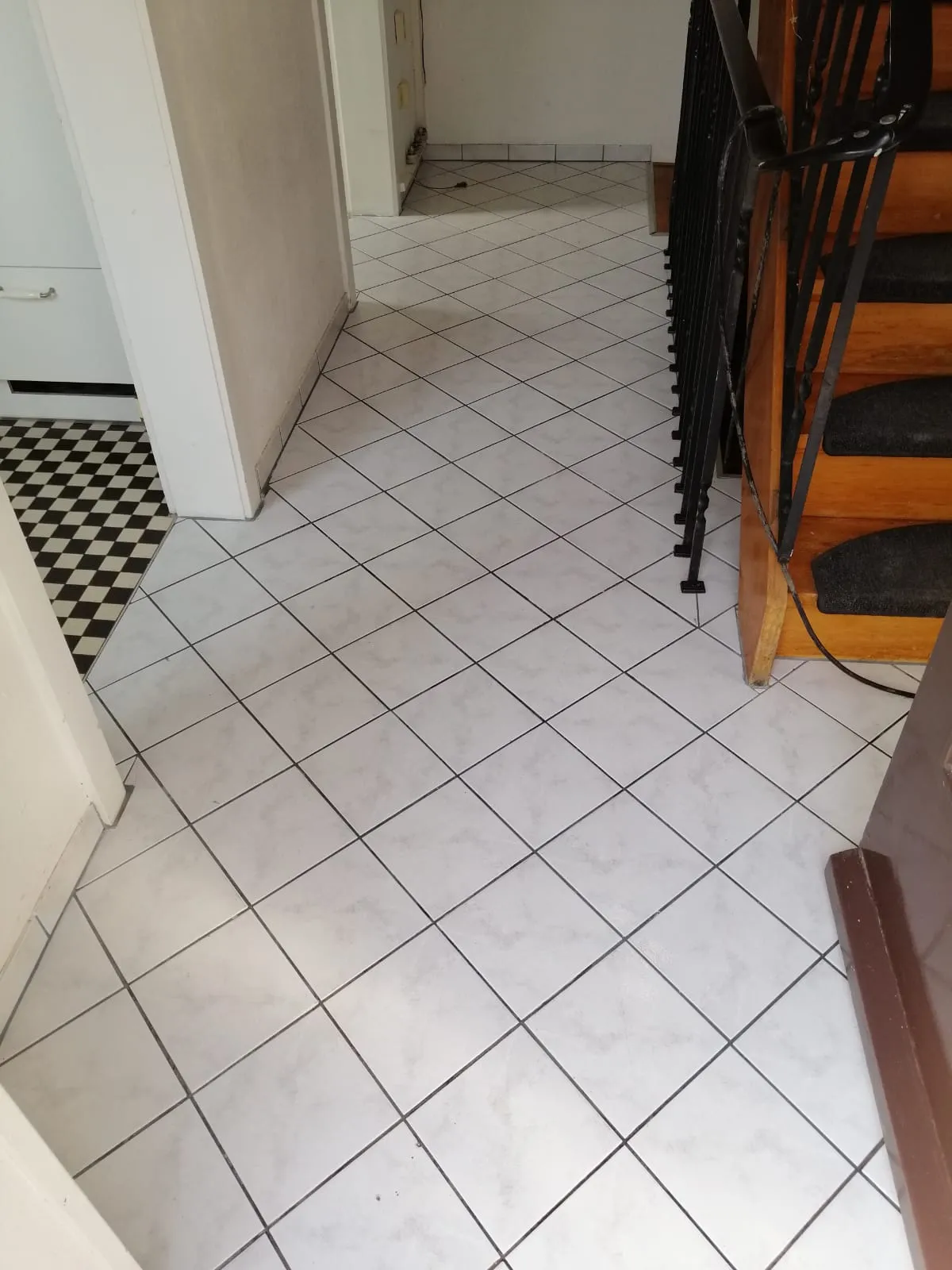 Bodenreinigung von IINDEX